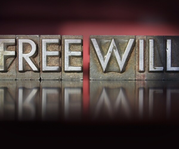 words free will written in vintage letterpress type