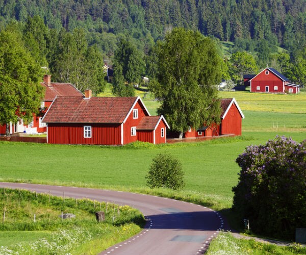 Farm Bill Betrays Reformist, Pro-Market Trump  