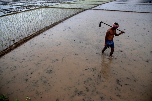 Climate Change Makes India's Monsoons Erratic. Can Farmers Still Find a Way to Prosper?