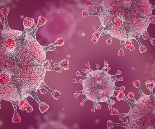 an illustration of a coronavirus
