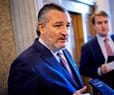 Sen. Cruz: Greenland Acquisition Key to US Interests