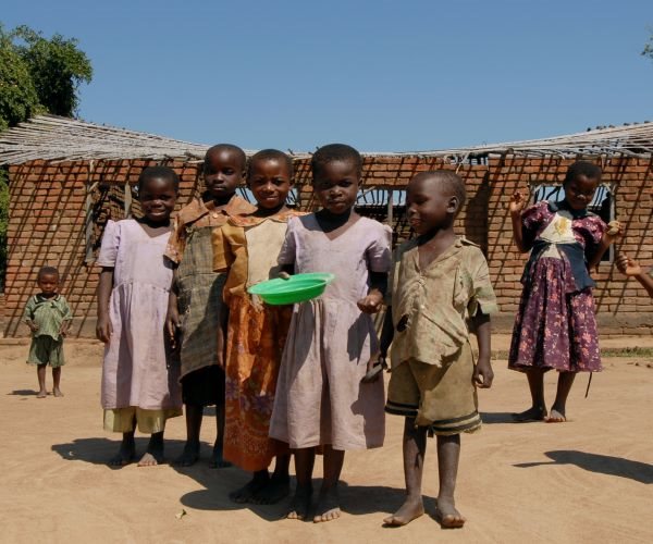 Change in Livestock Food Could Feed a Billion People: Study