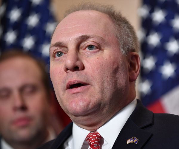 Scalise: 'Opposition to Nancy Pelosi' Drove Dems to Polls