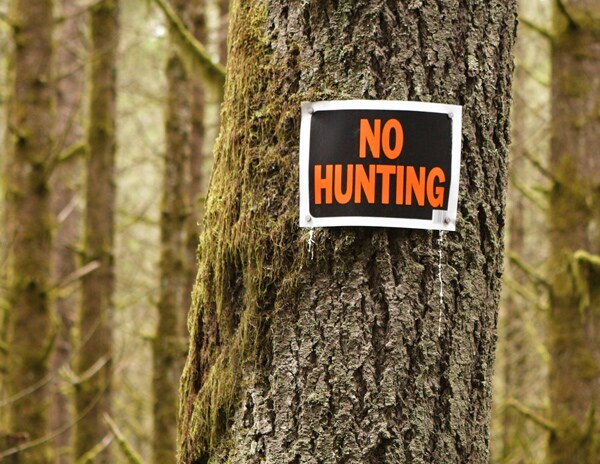 Hunting in Tennessee: 3 Things for Landowners to Know About Hunting on Private Property