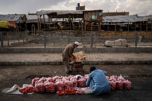 Afghan Taliban's New UN Envoy Urges Quick Recognition