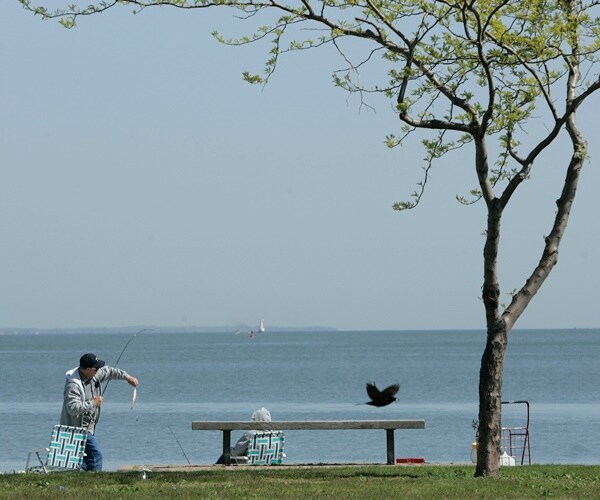 What Color Is Ohio? Only Its Voters Know for Sure