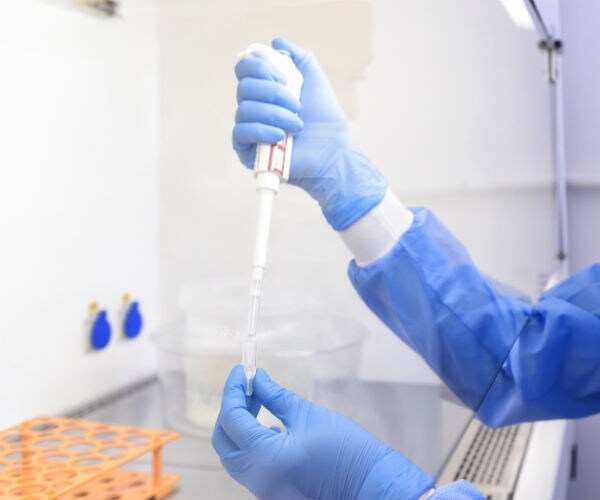 Study Reveals Coronavirus Turns Antibodies Against Our Brains