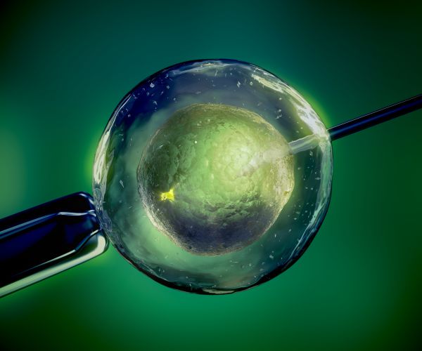 IVF Mix-Up in Dutch Lab: 26 Women Got Wrong Sperm?