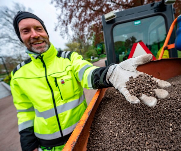 a worker shows the chicken manure that's being spread at stadsparken park in lund sweden