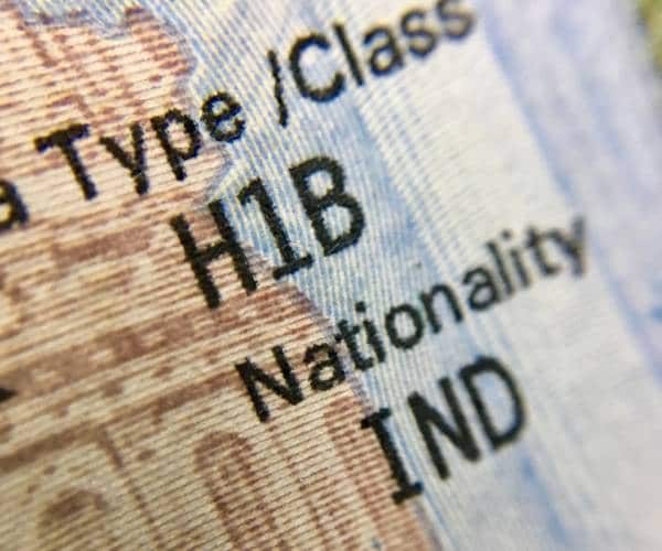 a close up of an aich one bee visa