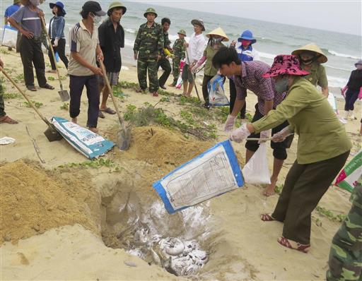 Vietnam Finds Taiwanese Company Responsible for Fish Deaths