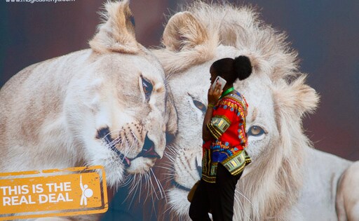 Carbon Markets Are 'bogus Solutions' as Rich World Keeps Polluting, African Climate Summit Is Told