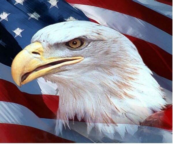 lockdown mission creep endangers all we are in america 