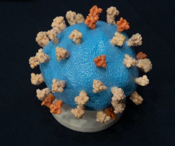coronavirus model
