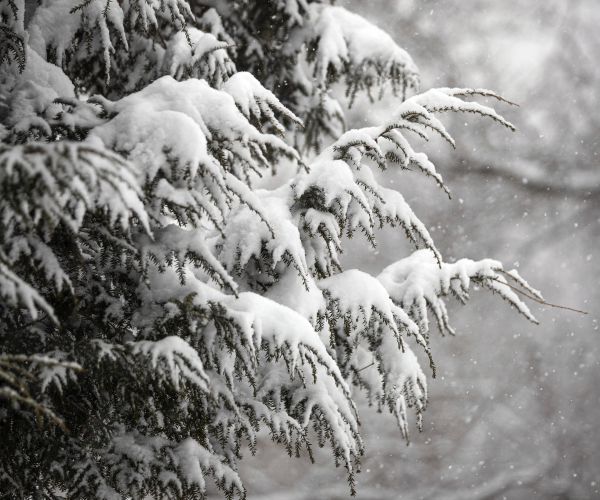 Body of Va. Father Who Abandoned Car in Snowstorm to See His Son Found