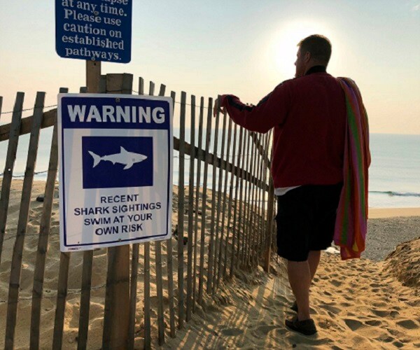 Shark Attack: California Teen Diving for Lobsters Bitten