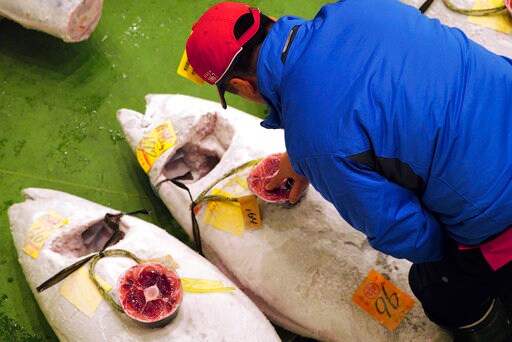 Bluefin Sold for $3 Million in 1st 2019 Sale at Tokyo Market