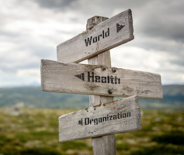 WHO Changes to UN Syria Memo Risk Stoking Trump-Fueled Criticism