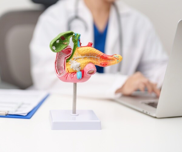 doctor at computer with a model of the pancreas on table