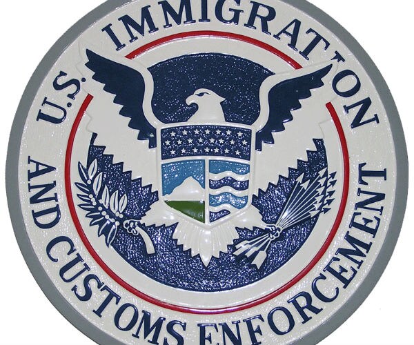 the ice seal is shown