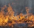 Wildfire-Prone Weather Days Increase Globally