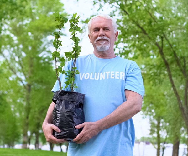 a senior man volunteering to plant a tree