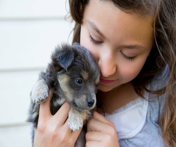 Dogs Help Kids Cope With Stress