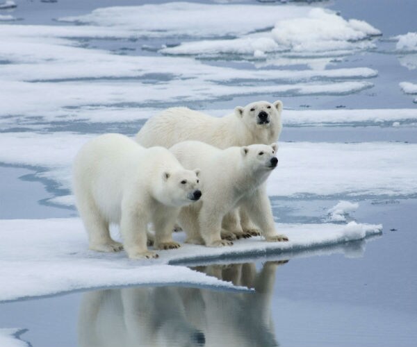 Poll: More Than Half Say Climate Change Behind Severity of Recent Hurricanes