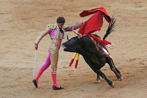 Hundreds March to Protest Bullfighting's Return to Barcelona