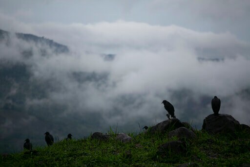 Tropical Storm Cristobal Drenching Mexico's Gulf Coast