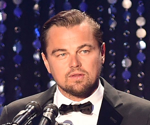 DiCaprio's Foundation Announces $15.6 Million in Grants