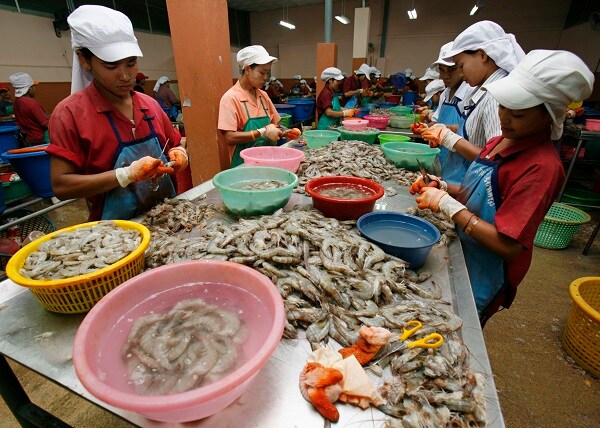 Slave-Peeled Shrimp Report Spurs Calls for Boycott