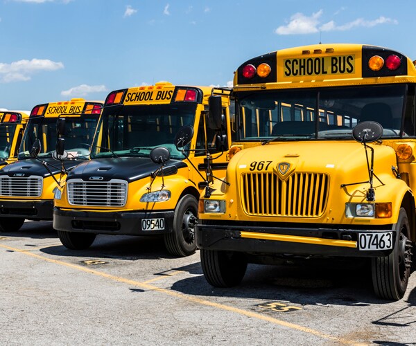 School buses parked in a lot