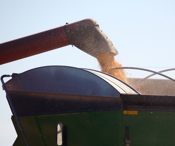 Farmer's Last Crop Harvested by Neighbors