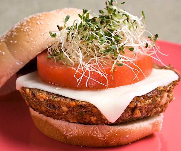 Veggie Tofu Burger with Soy Mozzarella Cheese and Alfalfa Sprouts