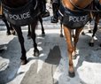 2 Police Horses on the Lam Cause Ohio Traffic Jam