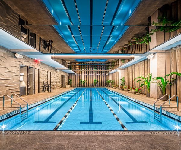 Gyms That Survived COVID Get Back in Shape