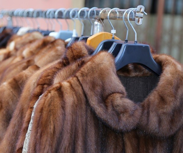 Humane Society: Macy's, Bloomingdale's to Stop Selling Fur
