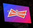 Budweiser Tops Super Bowl Ad Meter