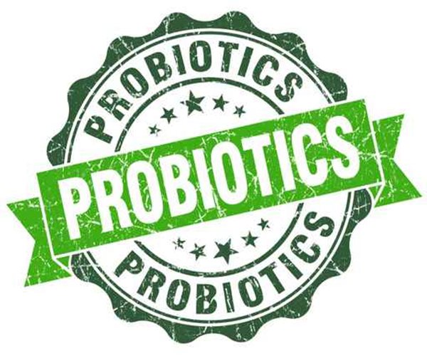 Probiotics Can Help With Weight Loss 