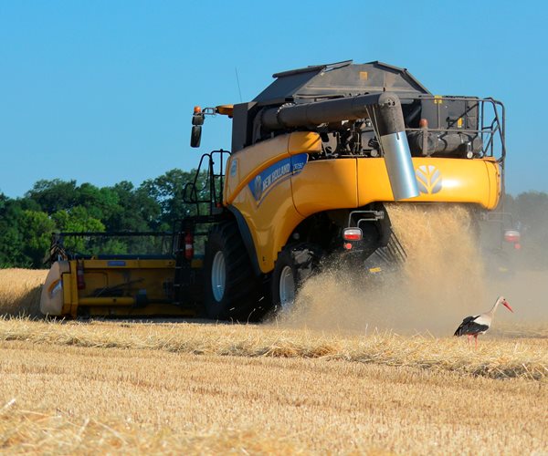 A combine harvester is seen harvesting at a wheat field in Ukraine