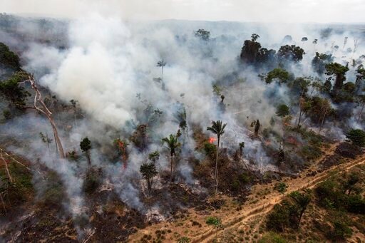 Brazil Rollback of Environment Rules Blow to Paris Pact