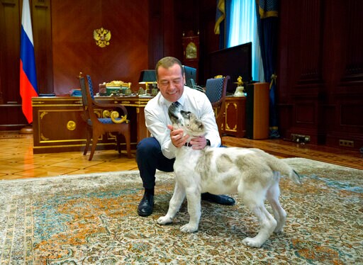 Turkmen Ruler Establishes Holiday to Honor Local Dog Breed