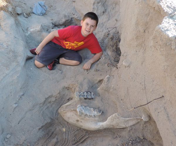 Boy Finds Million-Year-Old Fossil in New Mexico Desert