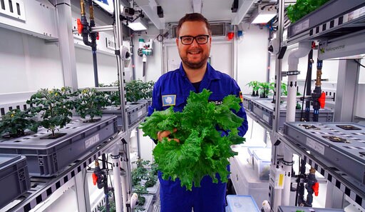 Scientists Harvest 1st Vegetables in Antarctic Greenhouse