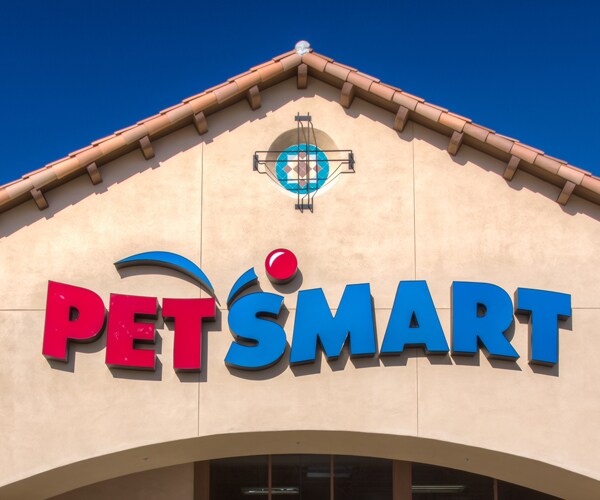 Jaxon's PetSmart Toy Alligator Still Has 8 Lives to Go