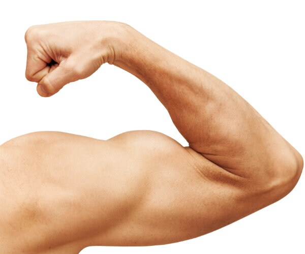 Popeye Was Right: Spinach Boosts Muscle