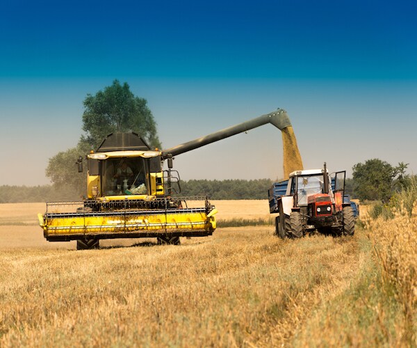 Farm Workers Have Highest Rate of Suicide Among Occupations