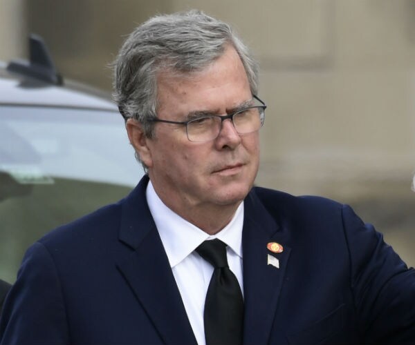 jeb bush