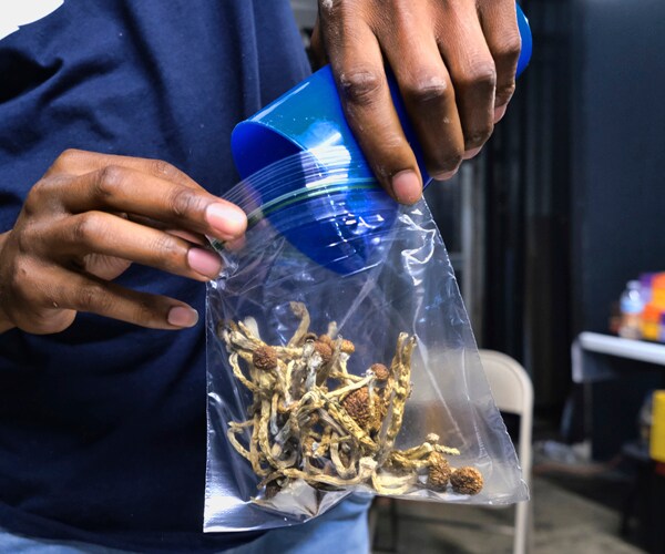 Magic mushrooms in a bag in Los Angeles